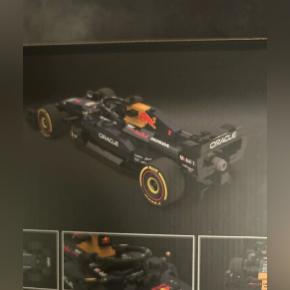 Redbull Rastar Oracle Car ! ! ! - Picture 7 of 11